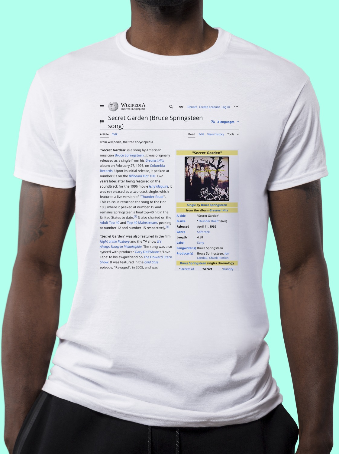 secret-garden-bruce-springsteen-song-wikipedia-t-shirt