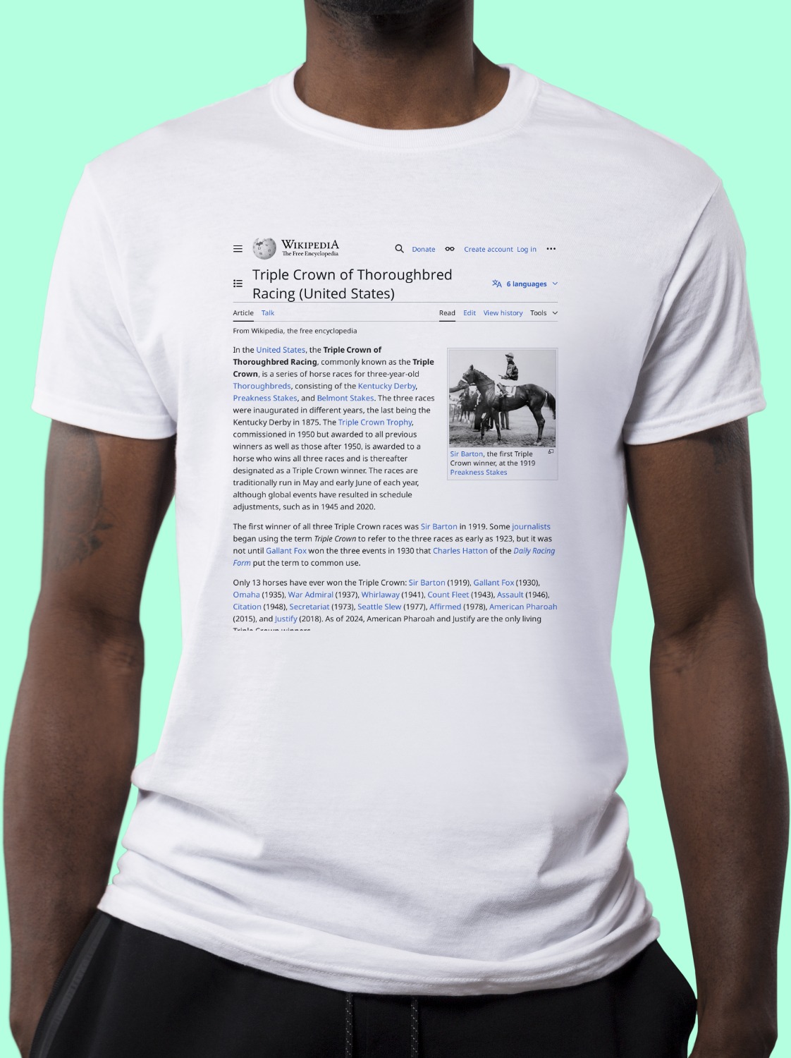 Triple Crown of Thoroughbred Racing (United States) Wikipedia T-Shirt 